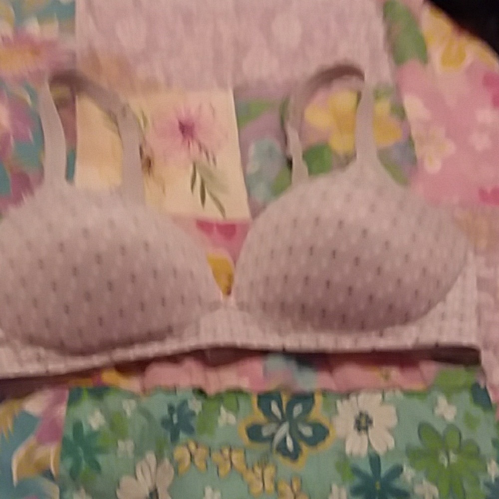 Gray bra